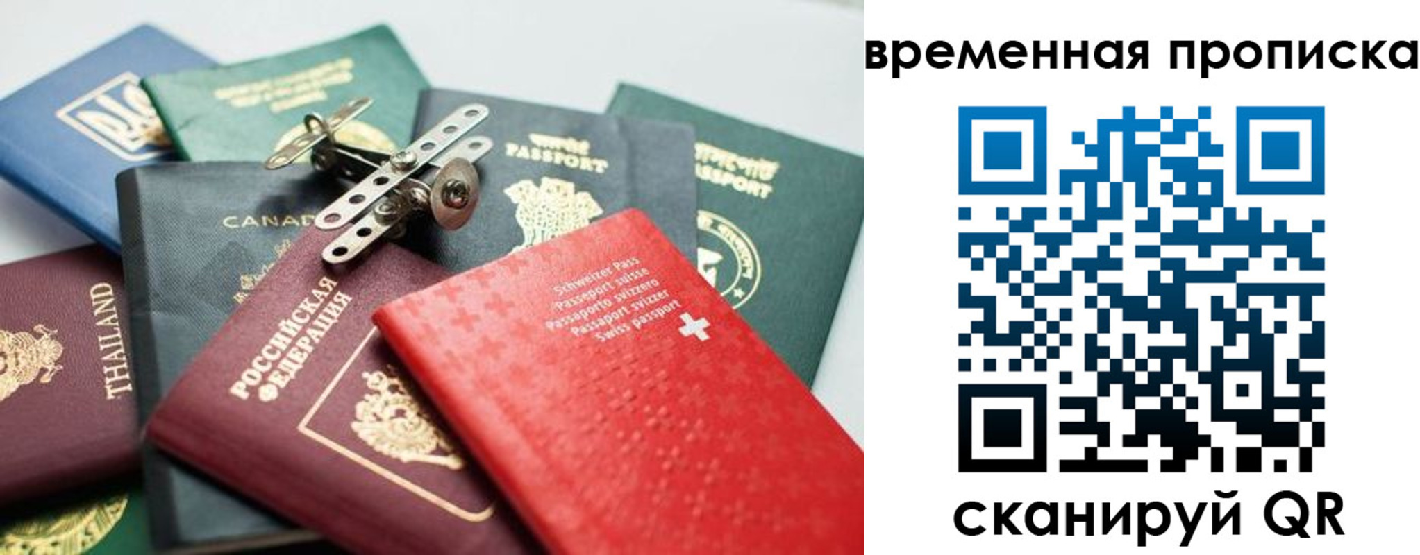 прописка поиск в Белгороде